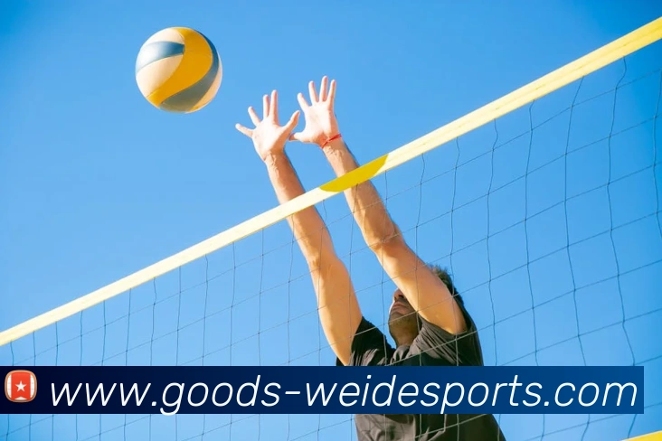 伟德体育服务体系